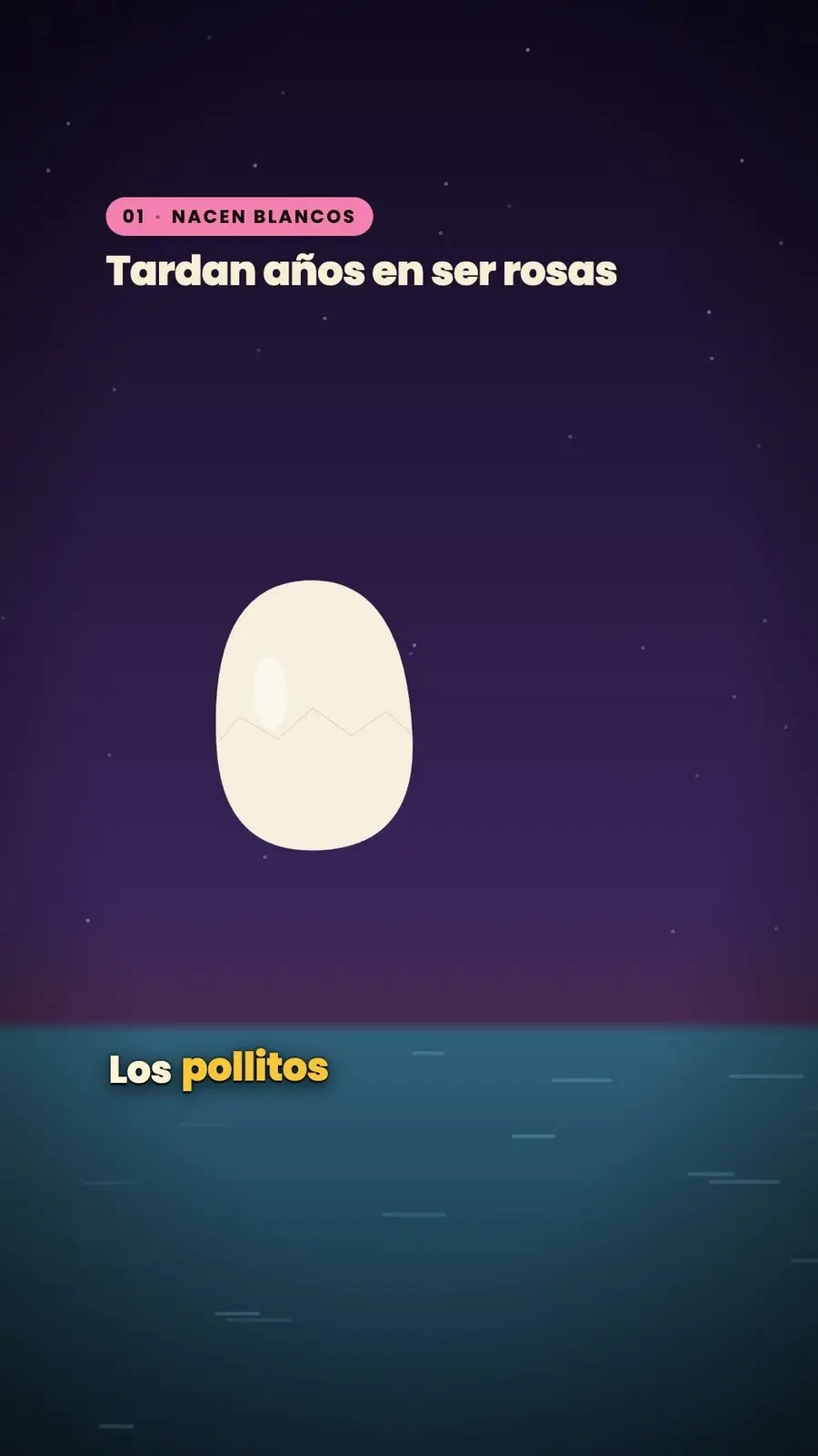 Cuadro 1 de «¿Por qué los flamencos son rosas?»