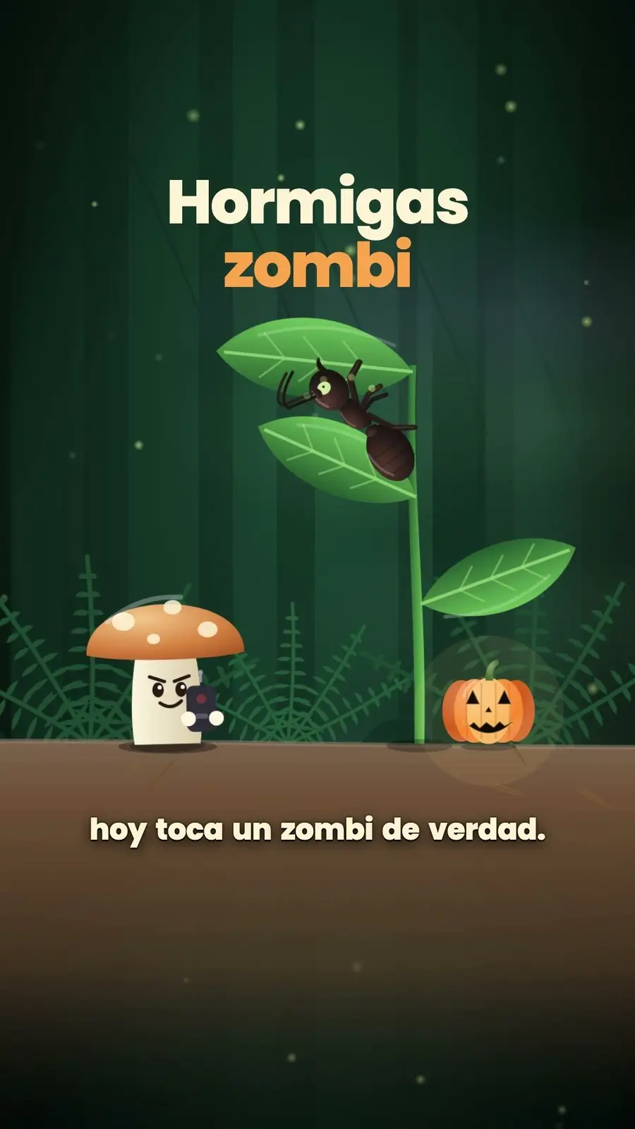 Cuadro 1 de «Hormigas zombi: el hongo que controla a una hormiga»