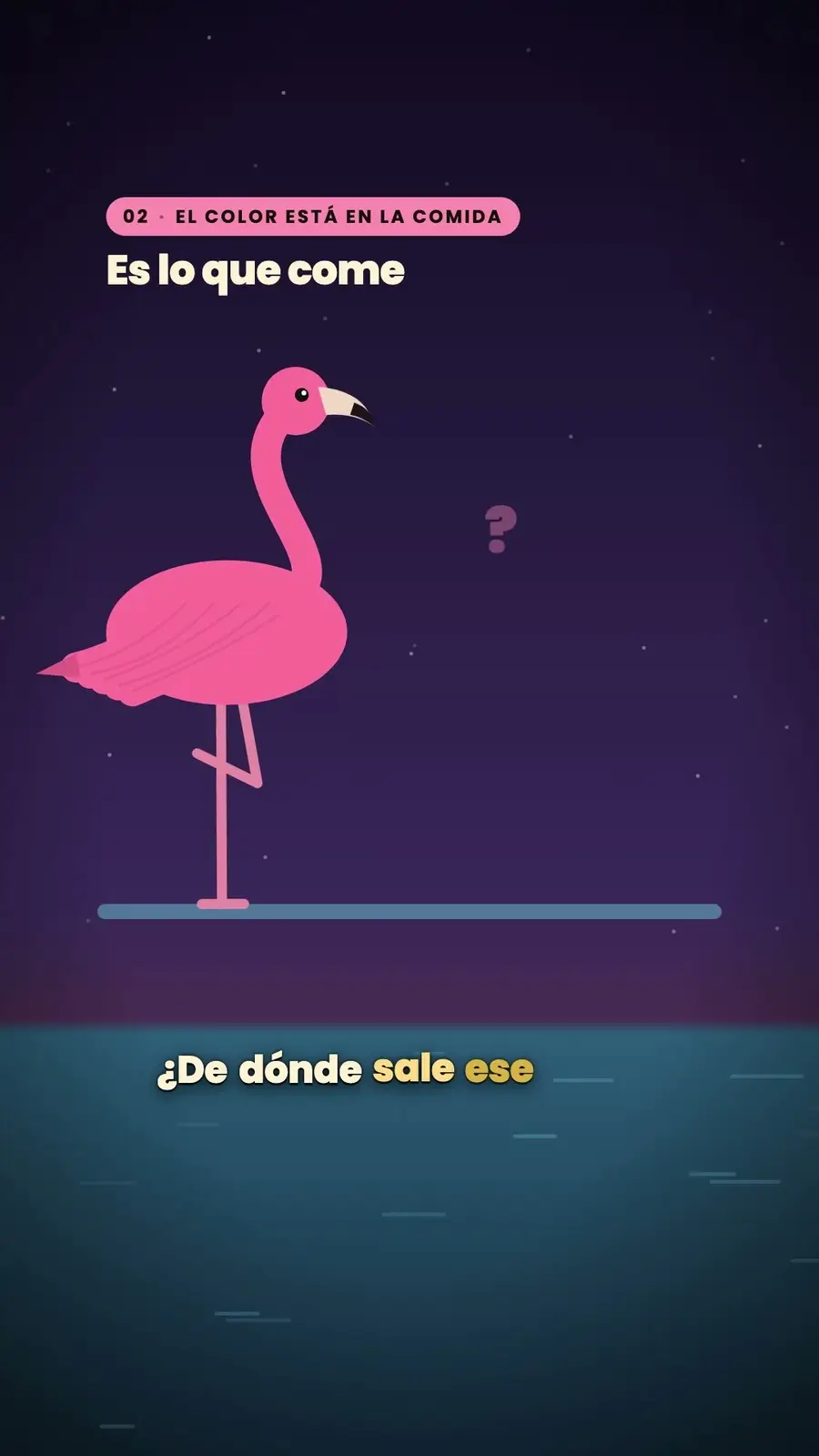 Cuadro 2 de «¿Por qué los flamencos son rosas?»