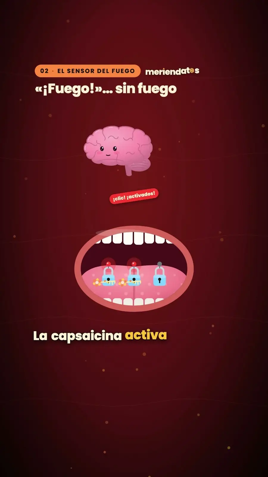 Cuadro 2 de «¿Por qué pica el chile?»