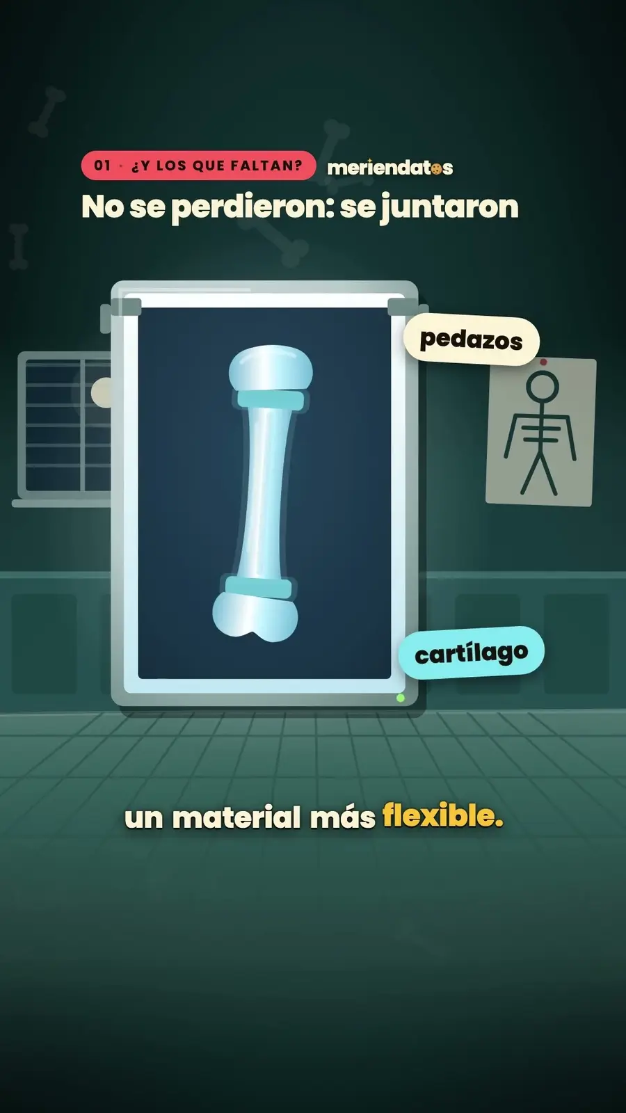 Cuadro 2 de «Naciste con más huesos que ahora»