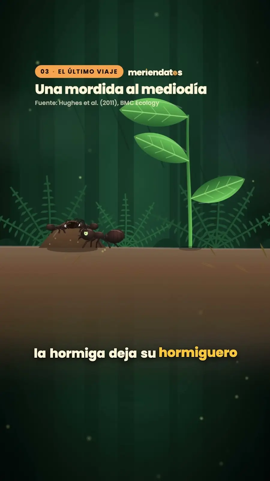 Cuadro 3 de «Hormigas zombi: el hongo que controla a una hormiga»
