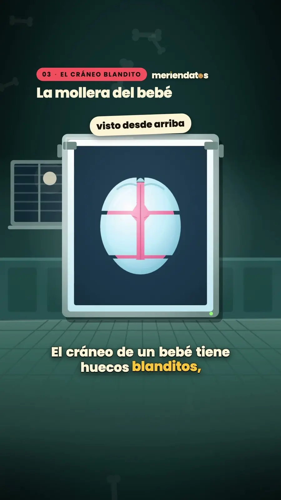 Cuadro 3 de «Naciste con más huesos que ahora»