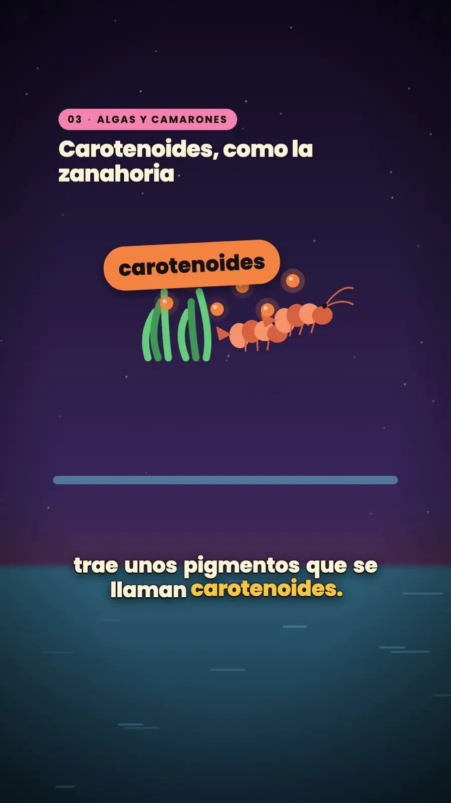 Cuadro 3 de «¿Por qué los flamencos son rosas?»