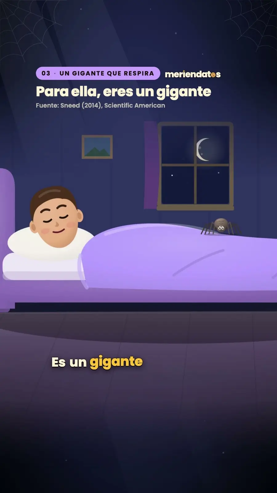 Cuadro 3 de «¿Te tragas arañas mientras duermes?»