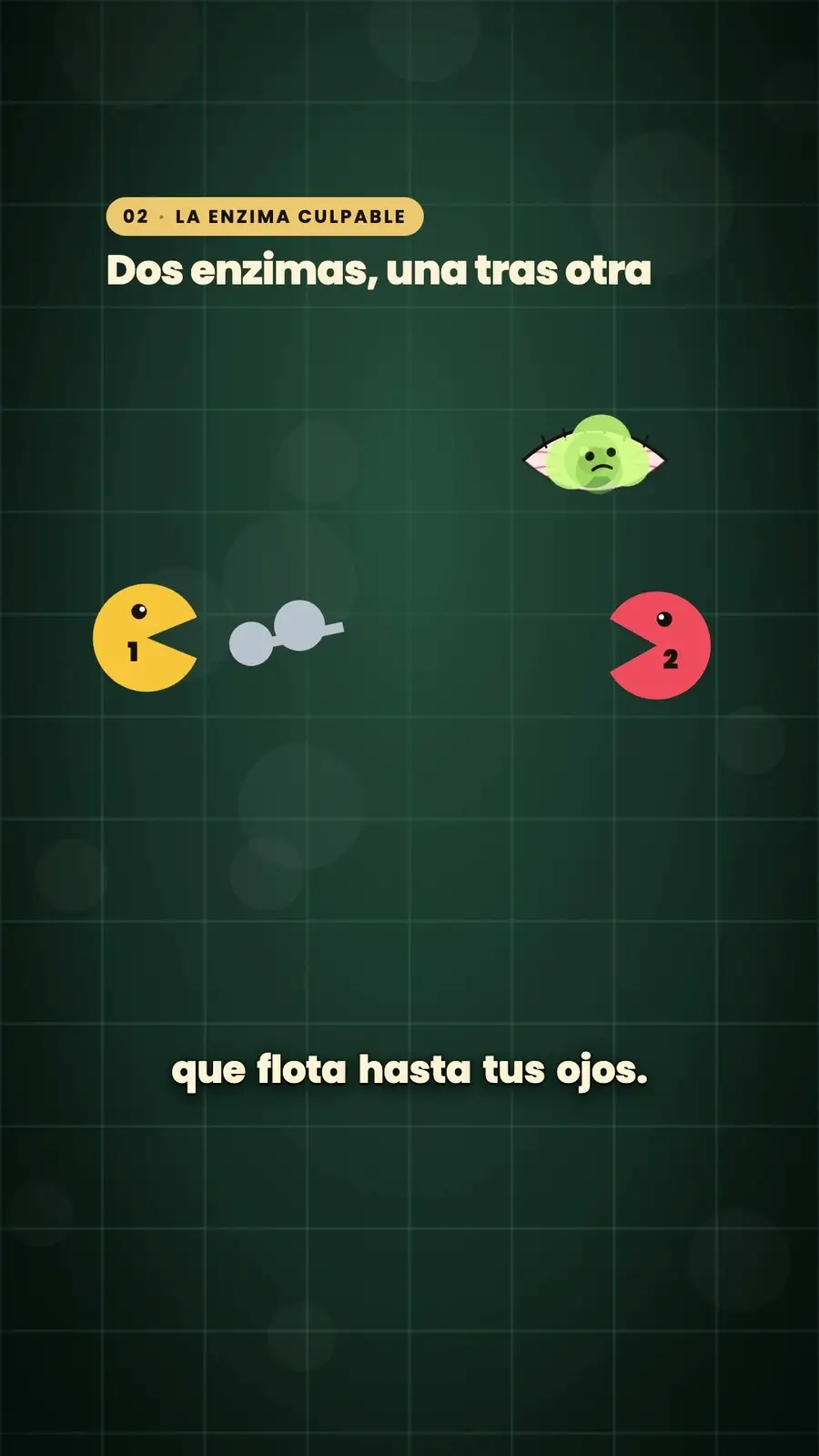 Cuadro 3 de «¿Por qué la cebolla te hace llorar?»
