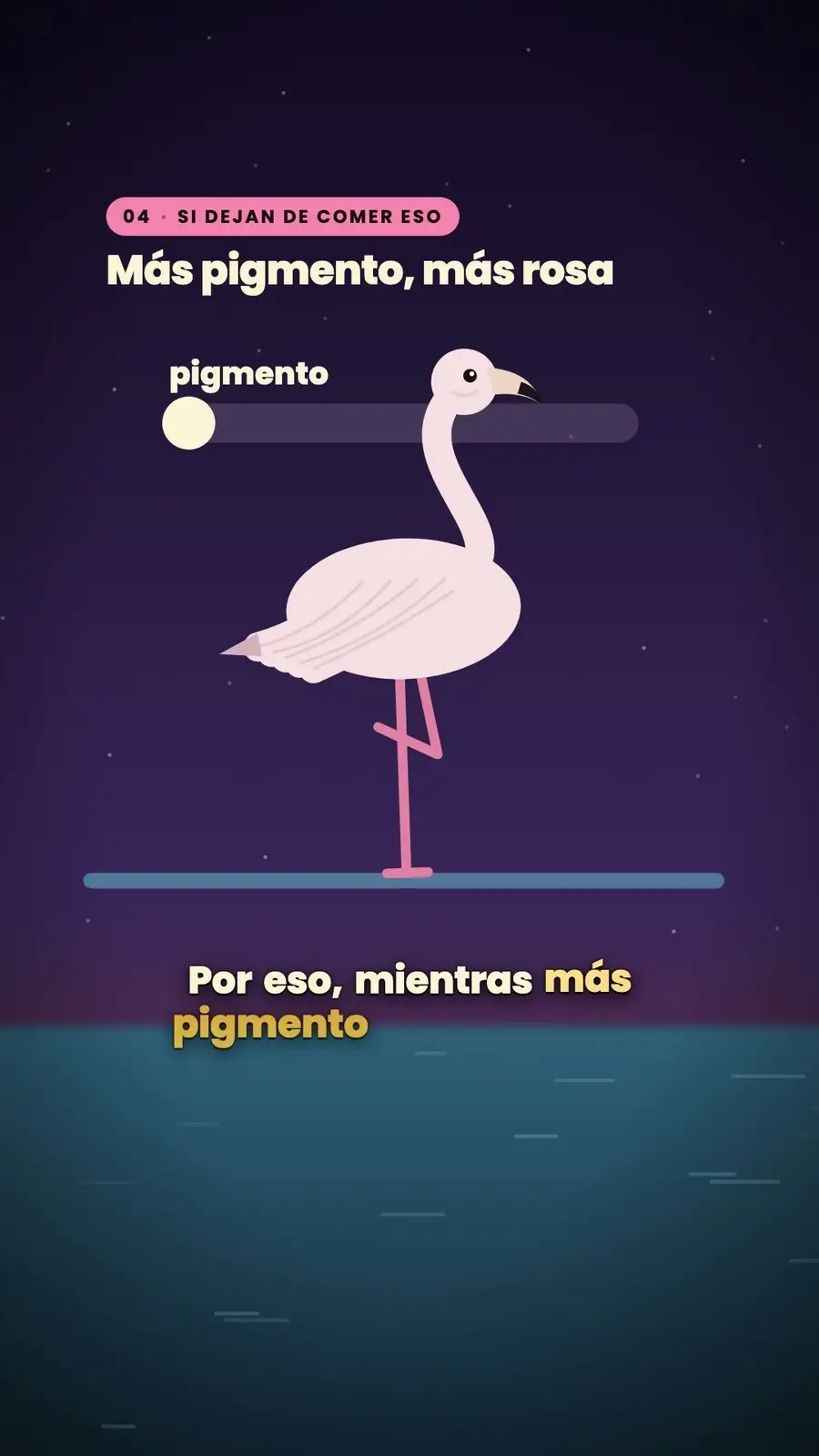Cuadro 4 de «¿Por qué los flamencos son rosas?»
