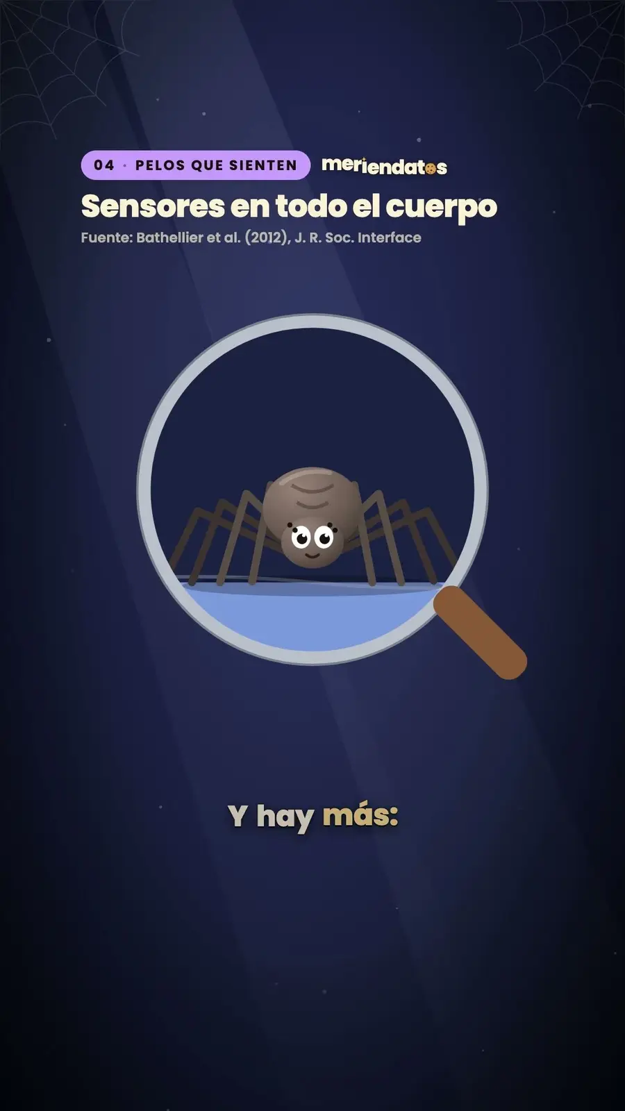 Cuadro 4 de «¿Te tragas arañas mientras duermes?»