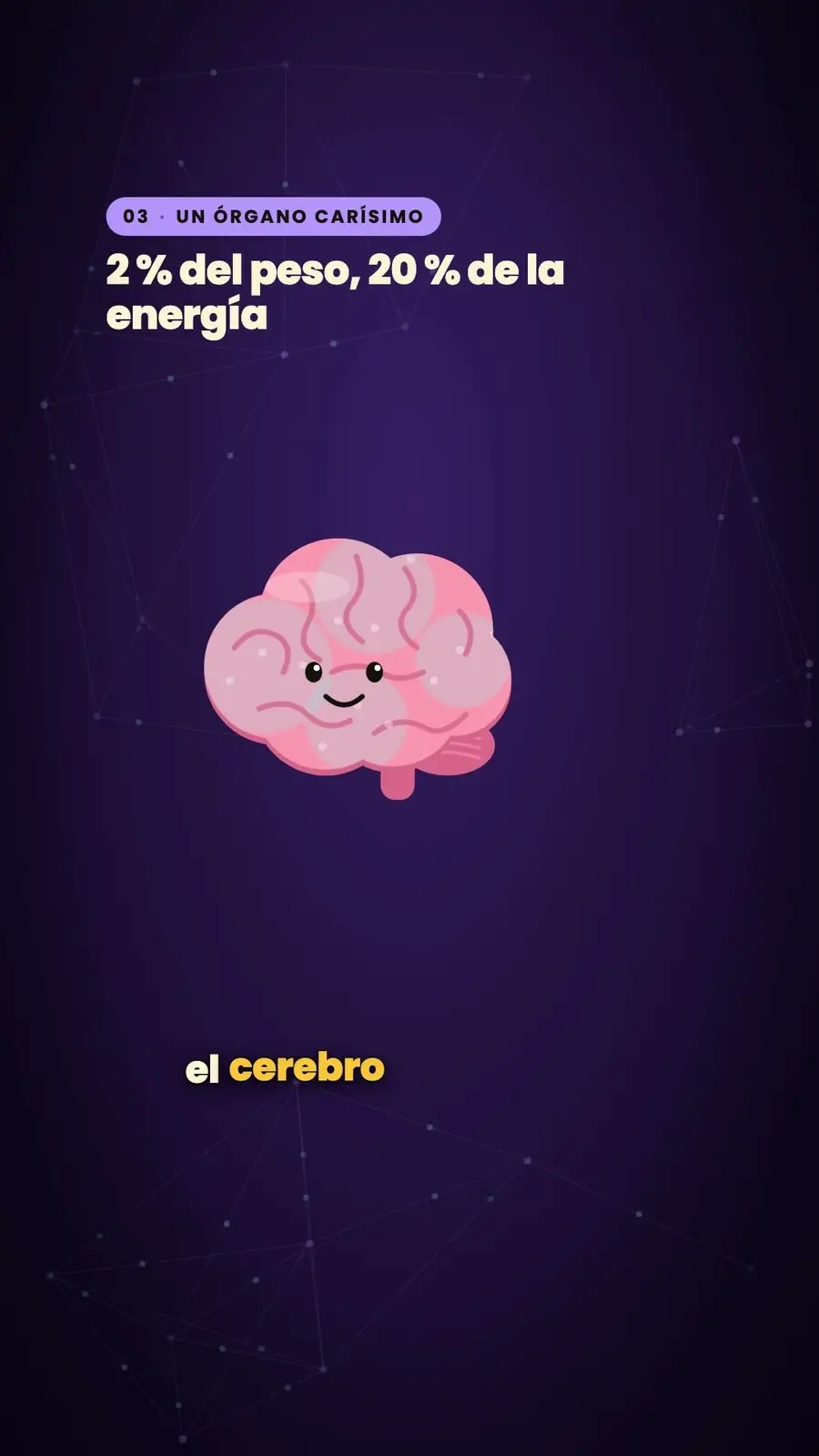 Cuadro 4 de «¿Usamos solo el 10 % del cerebro?»