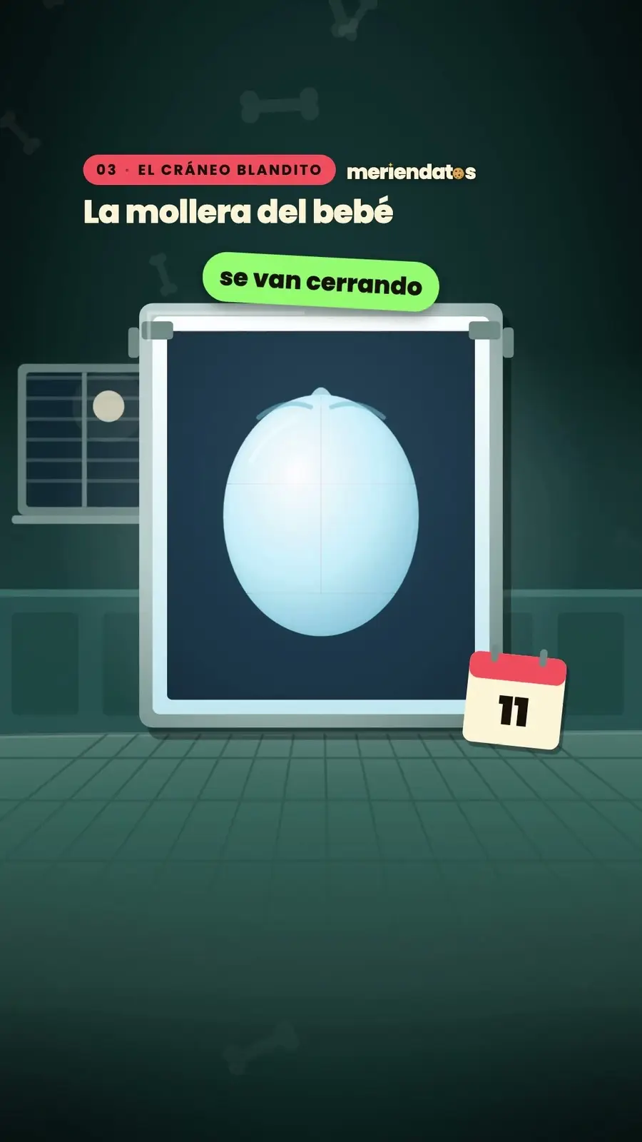 Cuadro 4 de «Naciste con más huesos que ahora»