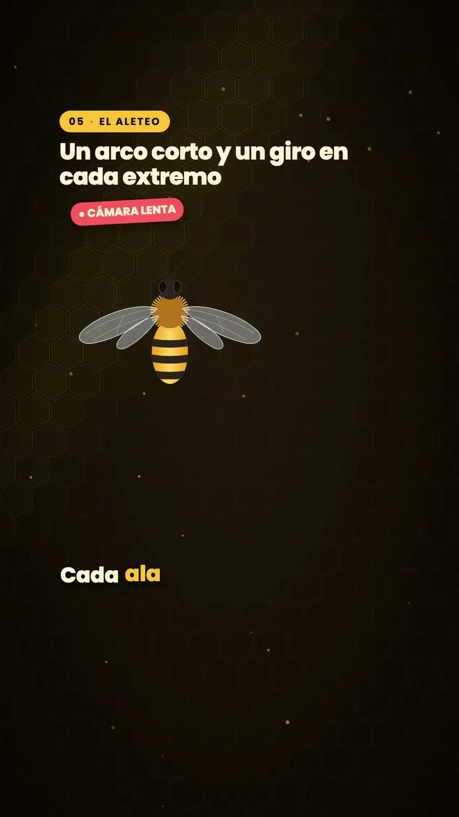 Cuadro 4 de «¿Por qué vuelan las abejas?»