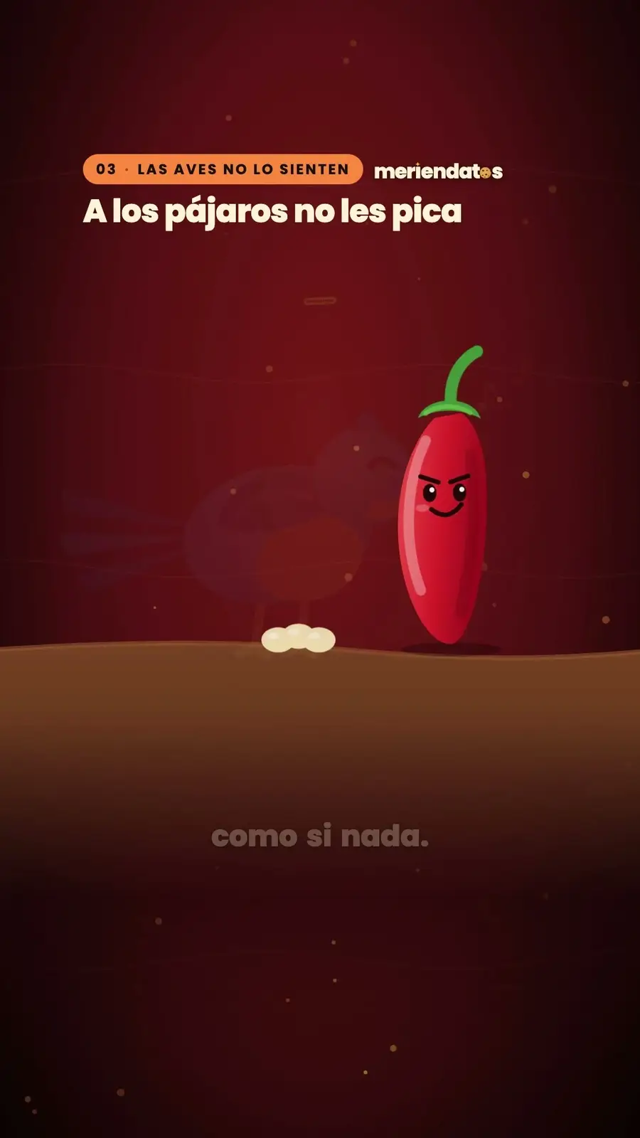 Cuadro 4 de «¿Por qué pica el chile?»