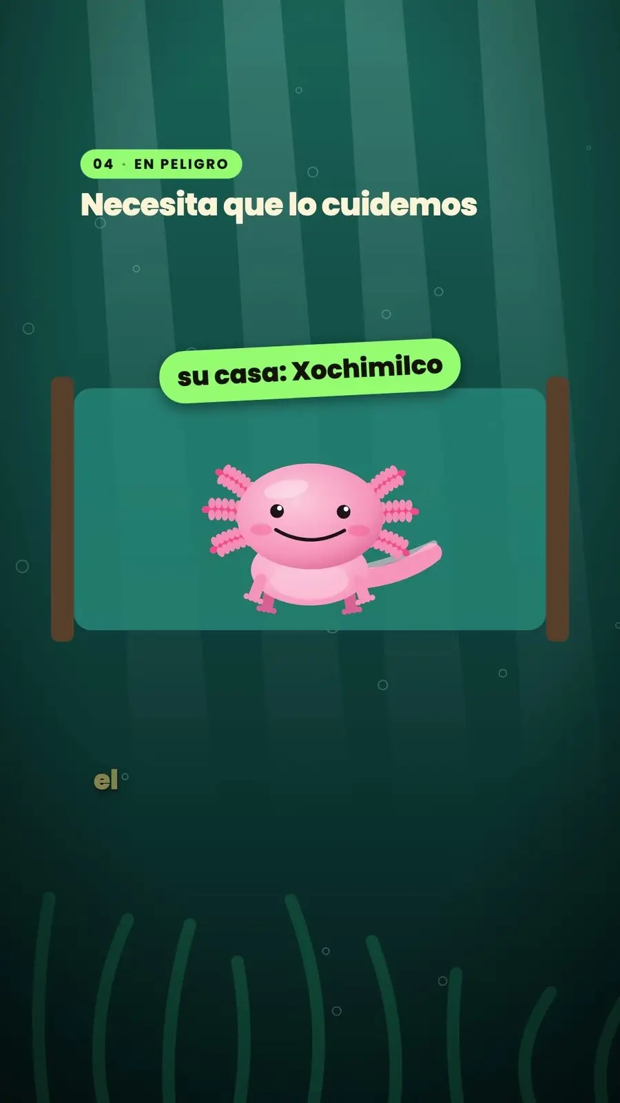 Cuadro 5 de «El ajolote, el que se regenera»