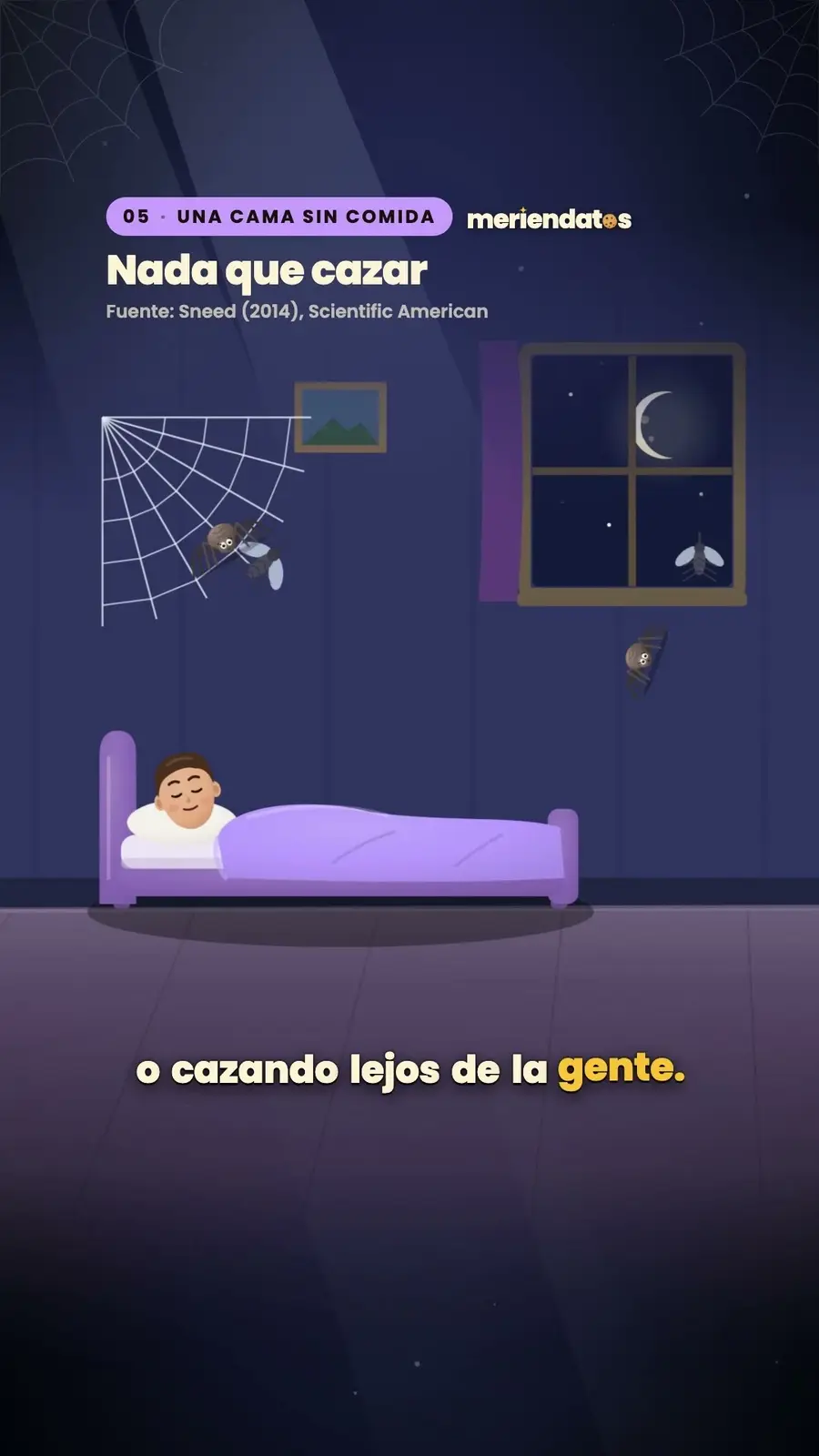 Cuadro 5 de «¿Te tragas arañas mientras duermes?»
