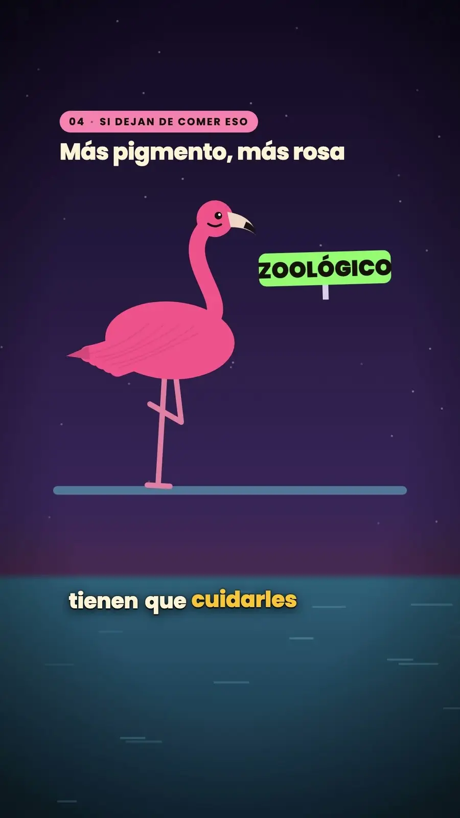 Cuadro 5 de «¿Por qué los flamencos son rosas?»
