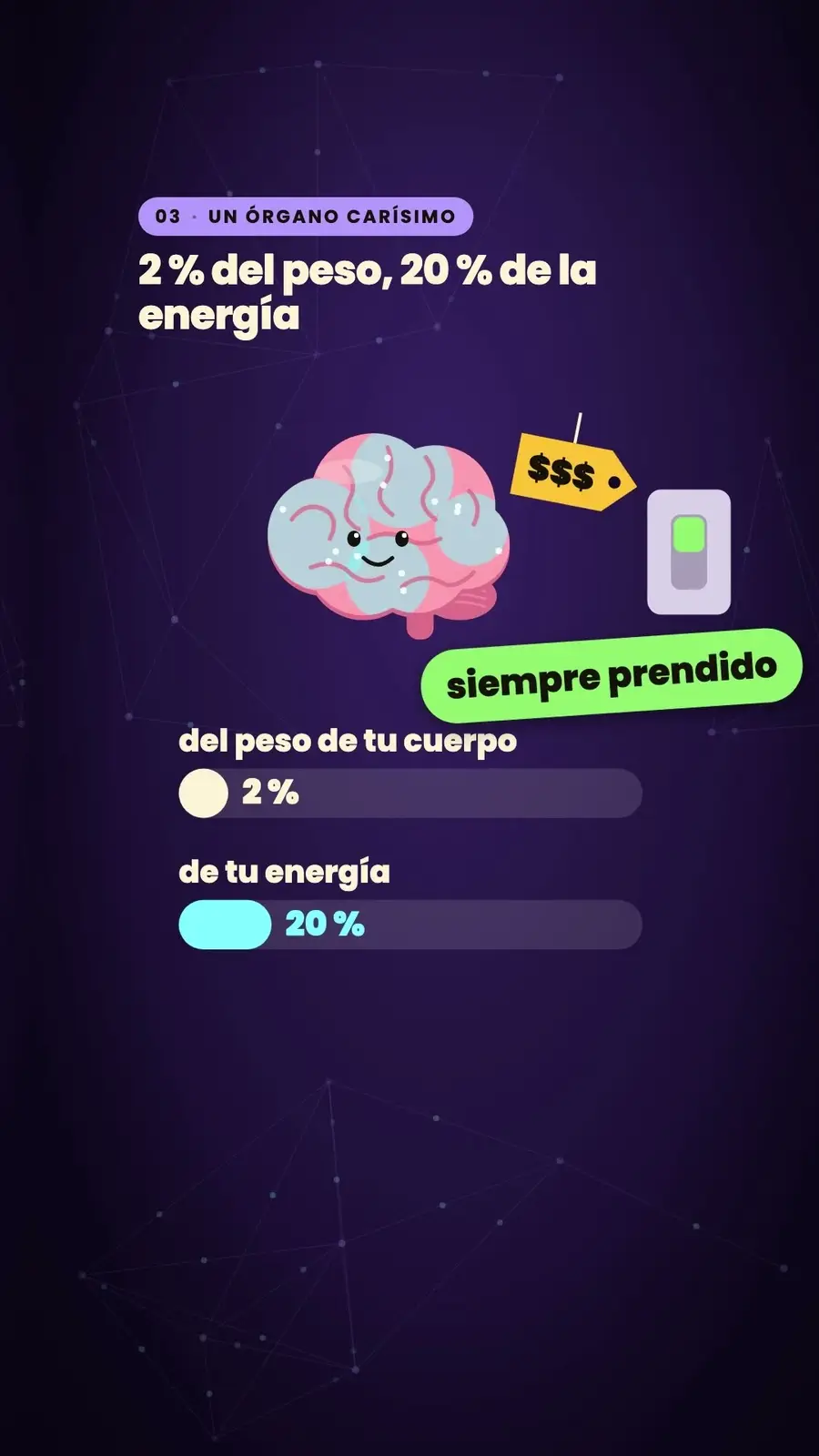 Cuadro 5 de «¿Usamos solo el 10 % del cerebro?»