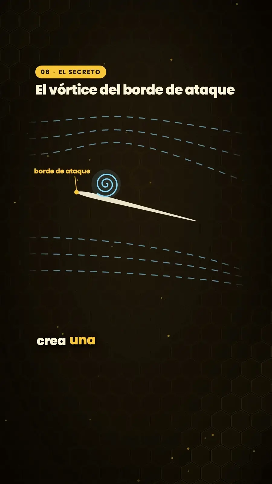Cuadro 5 de «¿Por qué vuelan las abejas?»