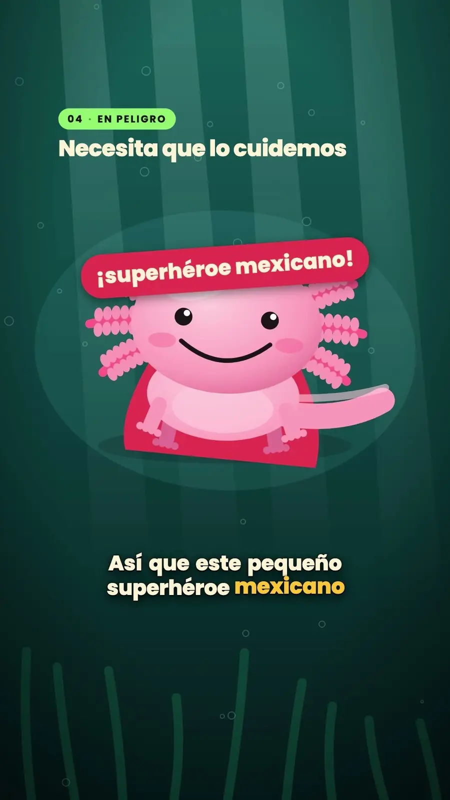 Cuadro 6 de «El ajolote, el que se regenera»