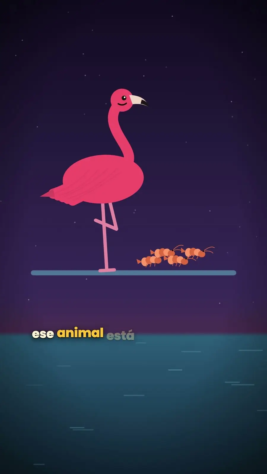 Cuadro 6 de «¿Por qué los flamencos son rosas?»